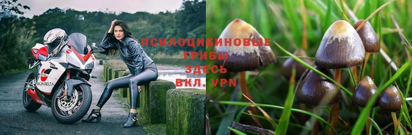 молекула духа Наволоки