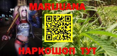 прущие крисы Абакан