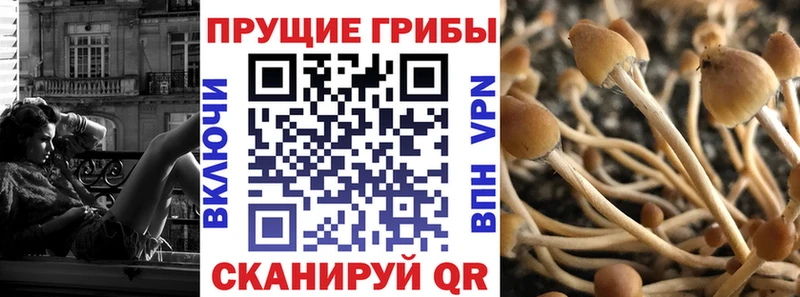 это наркотические препараты  Мегион  Псилоцибиновые грибы мицелий 