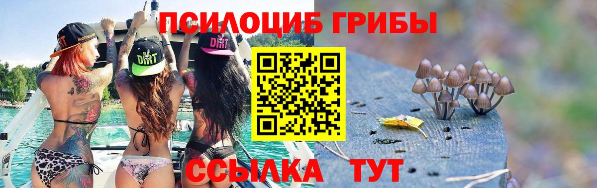Псилоцибиновые грибы Cubensis Мегион